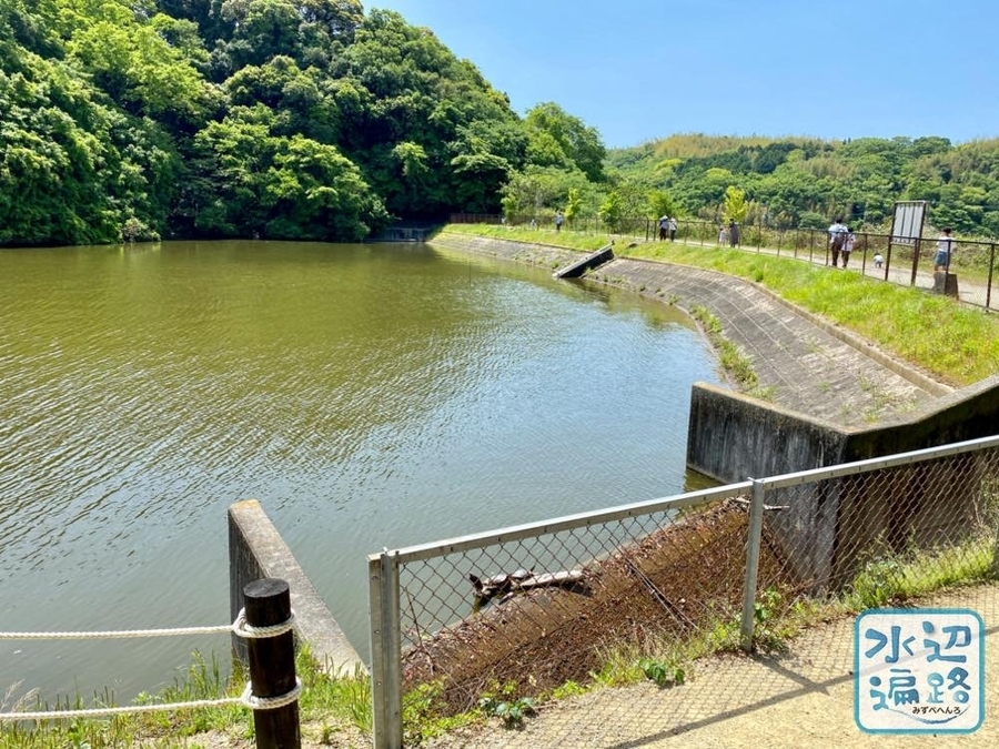 f:id:cippillo:20210527134756j:plain