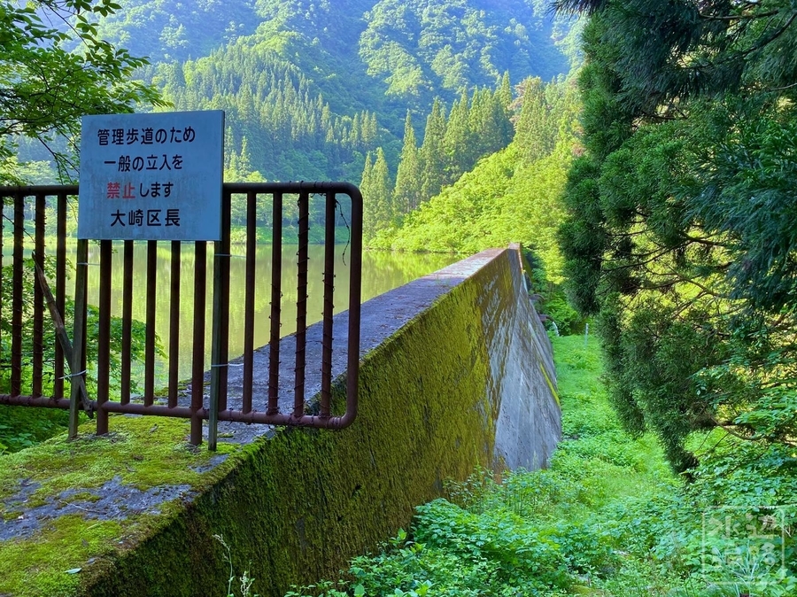 f:id:cippillo:20210602045116j:plain