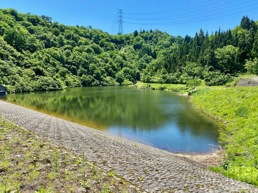 f:id:cippillo:20210602052103j:plain