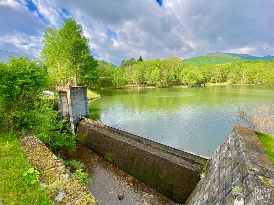 f:id:cippillo:20210606180732j:plain