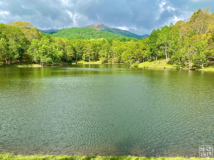 f:id:cippillo:20210606180741j:plain