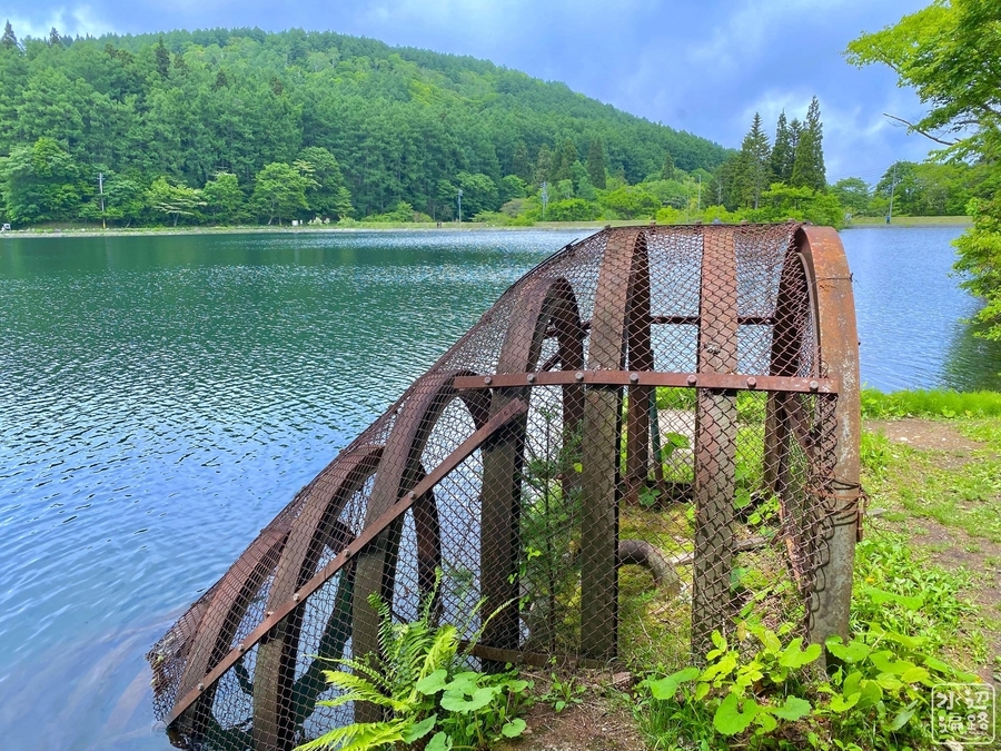 f:id:cippillo:20210606200536j:plain