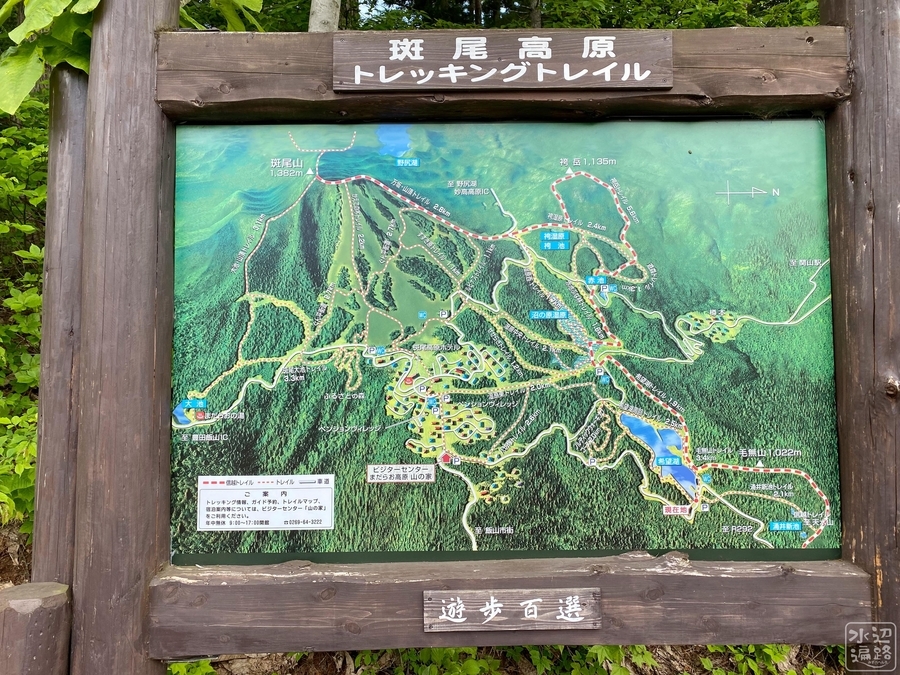 f:id:cippillo:20210606201844j:image