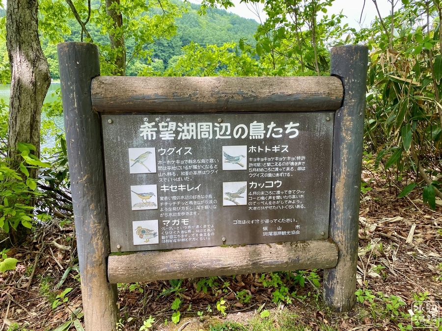 f:id:cippillo:20210606201857j:plain