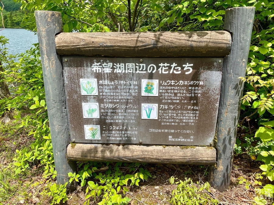 f:id:cippillo:20210606201911j:plain