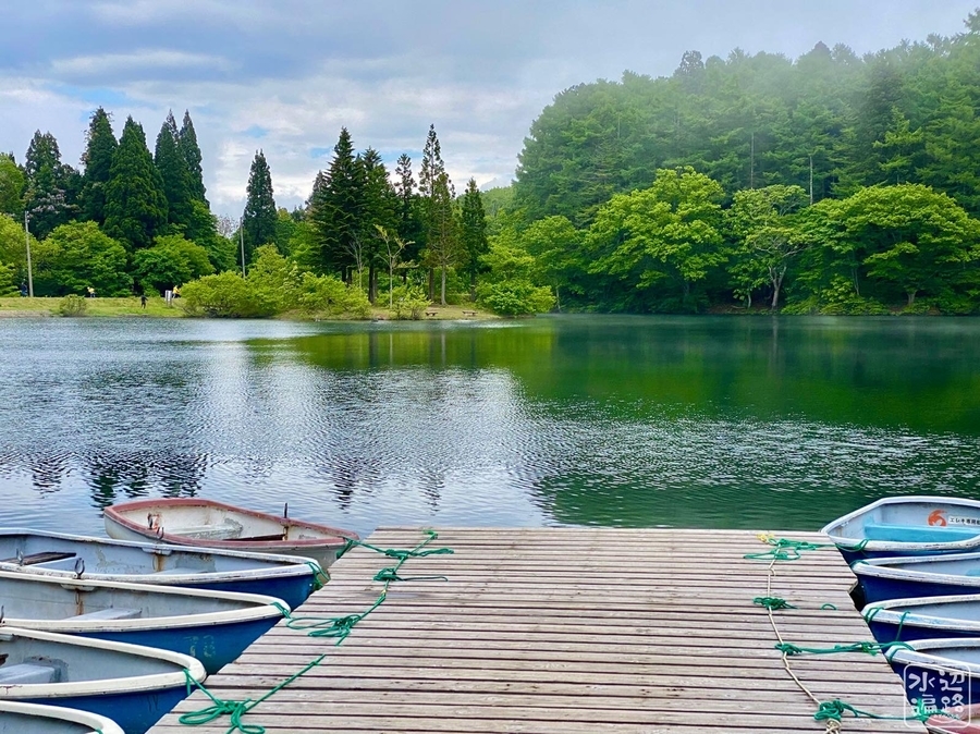 f:id:cippillo:20210606203306j:plain