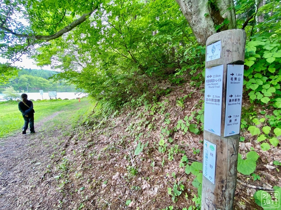 f:id:cippillo:20210606204026j:plain