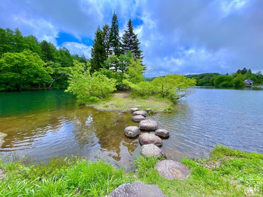 f:id:cippillo:20210606212111j:plain