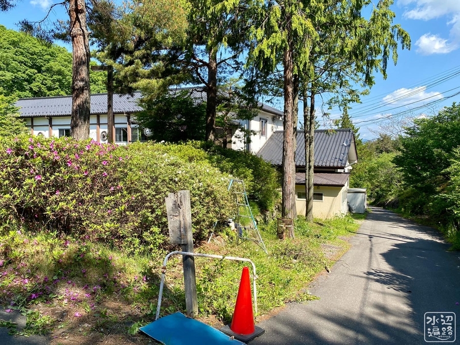 f:id:cippillo:20210607085830j:plain