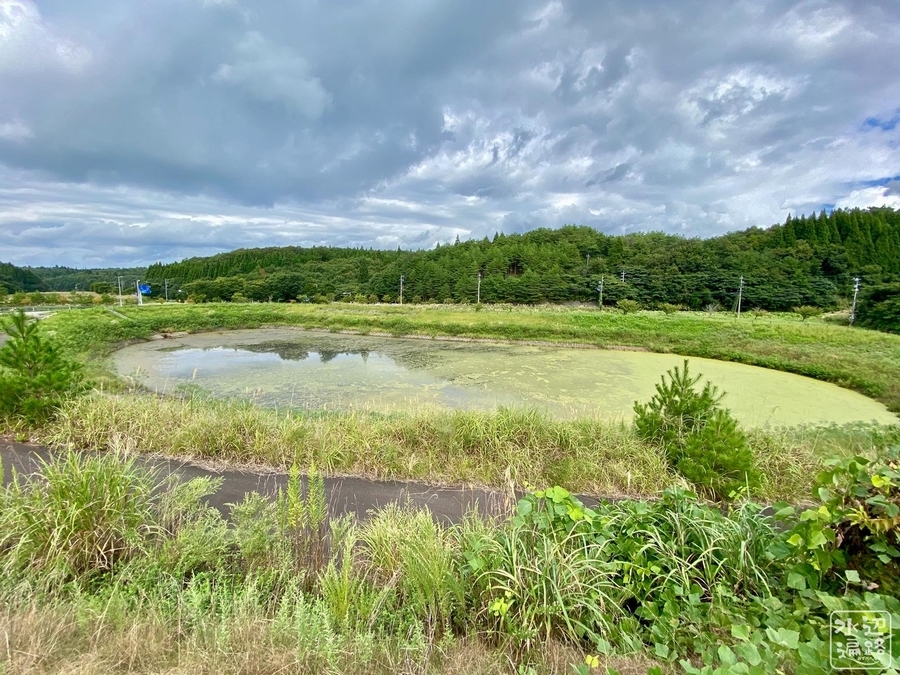 f:id:cippillo:20210607183704j:plain