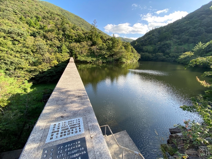 f:id:cippillo:20210608223939j:plain