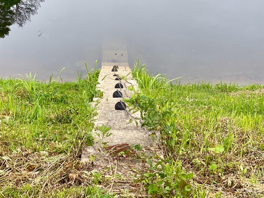 f:id:cippillo:20210610130606j:plain