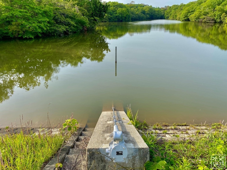 f:id:cippillo:20210611192224j:plain