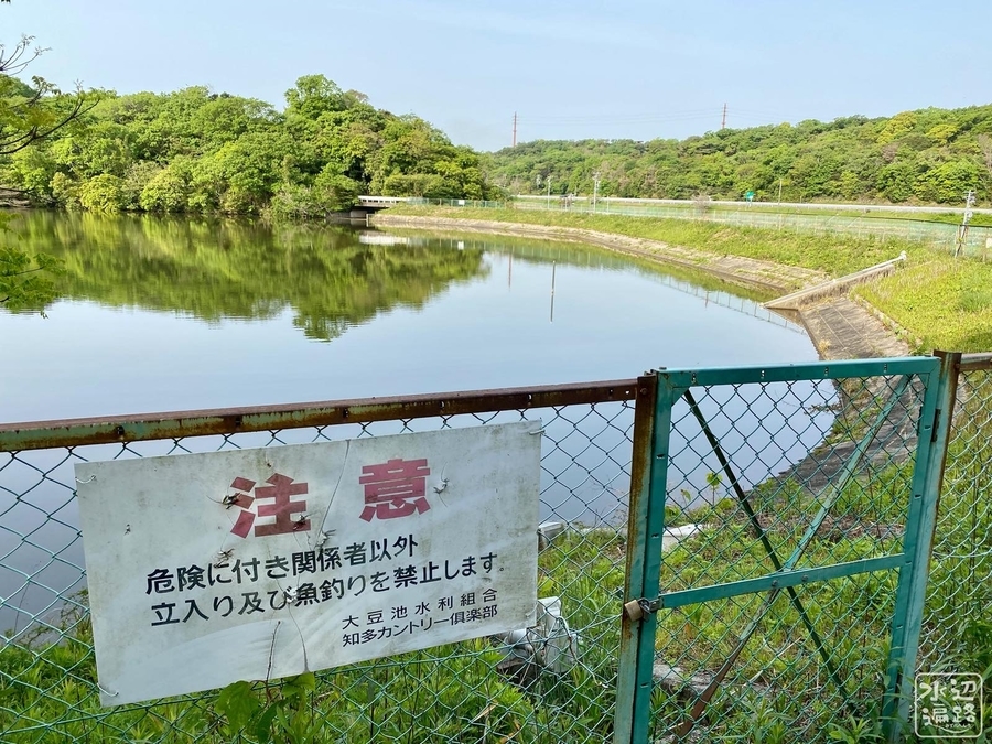 f:id:cippillo:20210611192254j:plain