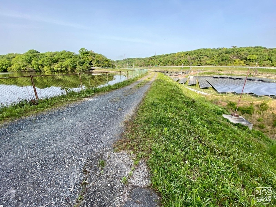 f:id:cippillo:20210611192307j:plain