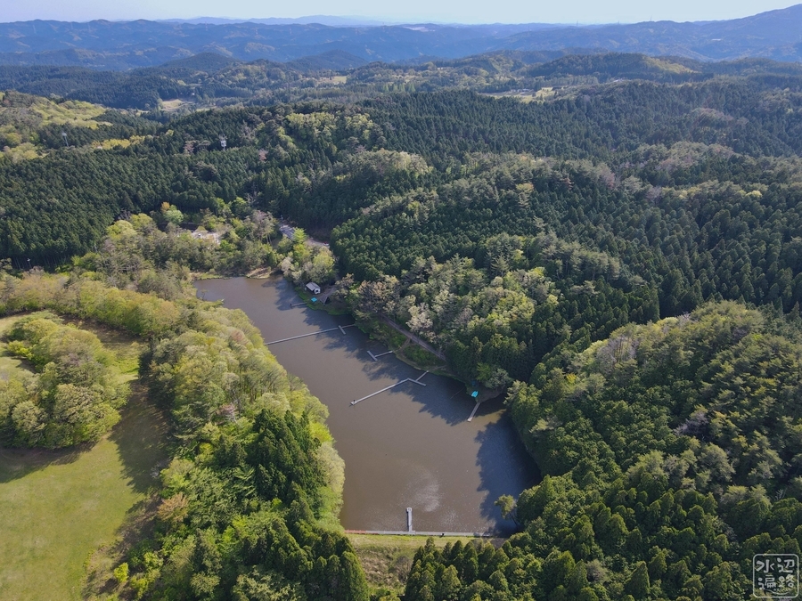 f:id:cippillo:20210611202837j:plain