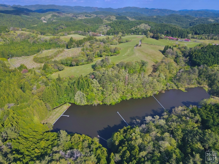 f:id:cippillo:20210611202852j:plain