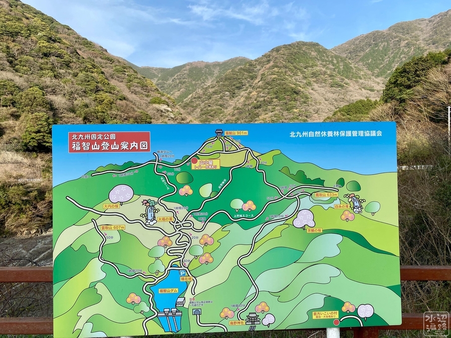 f:id:cippillo:20210613154114j:plain