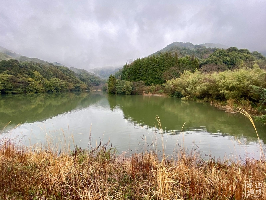 f:id:cippillo:20210613205853j:plain