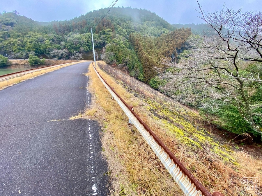 f:id:cippillo:20210613210832j:plain