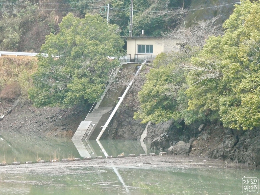 f:id:cippillo:20210613210856j:plain