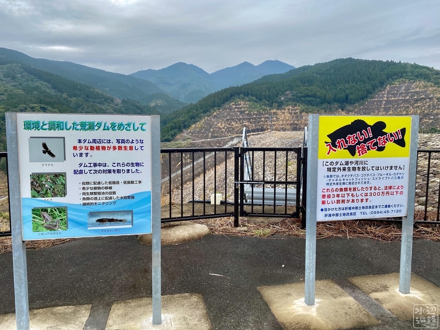 f:id:cippillo:20210614132721j:plain