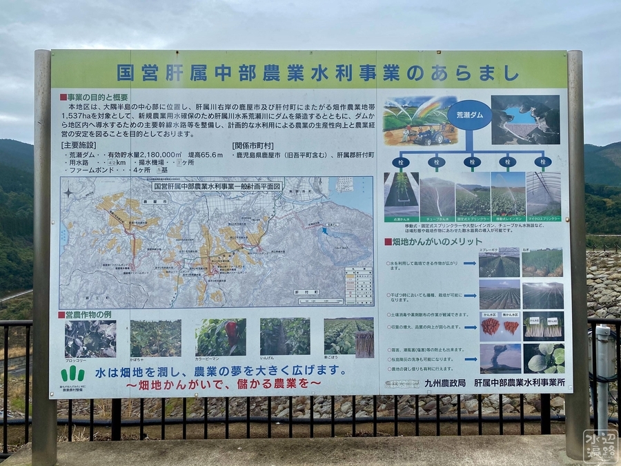 f:id:cippillo:20210614132749j:plain