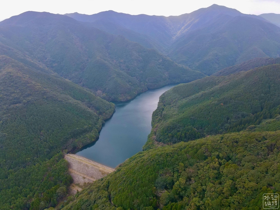 f:id:cippillo:20210614210659j:plain