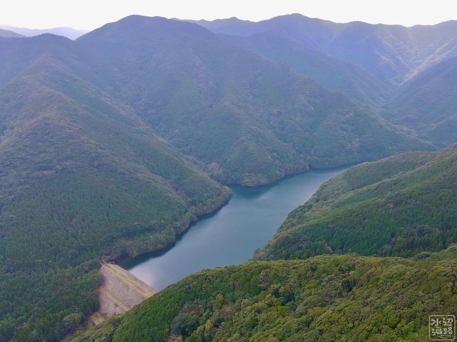 f:id:cippillo:20210614210713j:plain