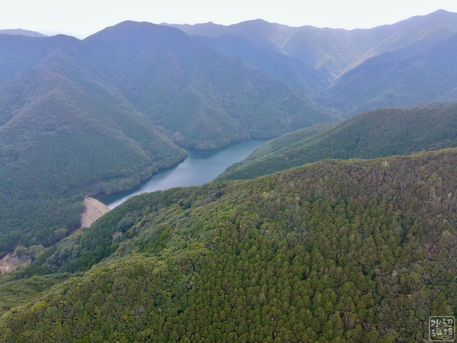 f:id:cippillo:20210614210726j:plain