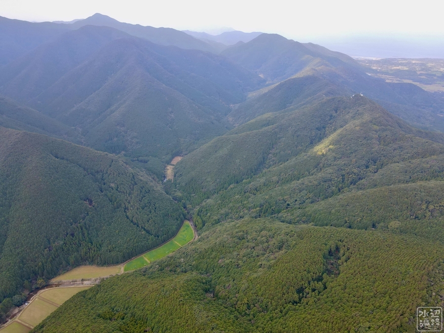 f:id:cippillo:20210614210739j:plain