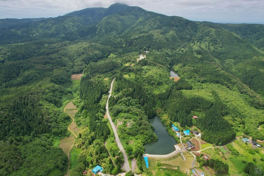 f:id:cippillo:20210626072414j:plain