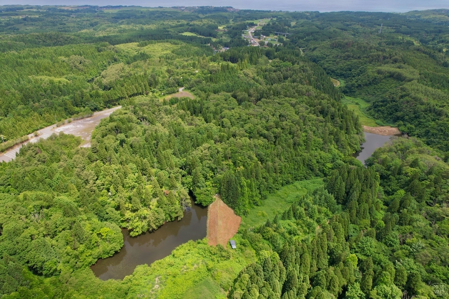 f:id:cippillo:20210626073601j:plain