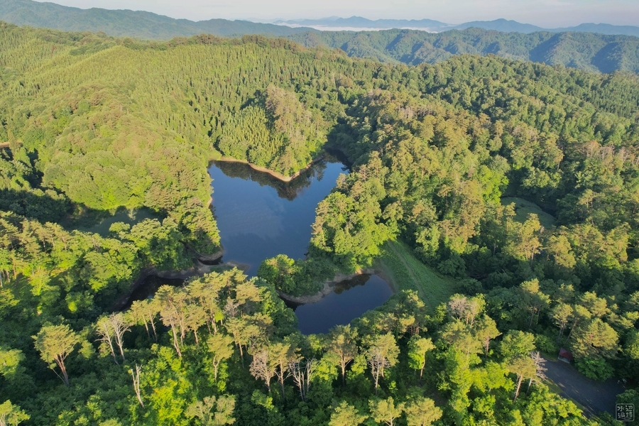 f:id:cippillo:20210627063829j:plain