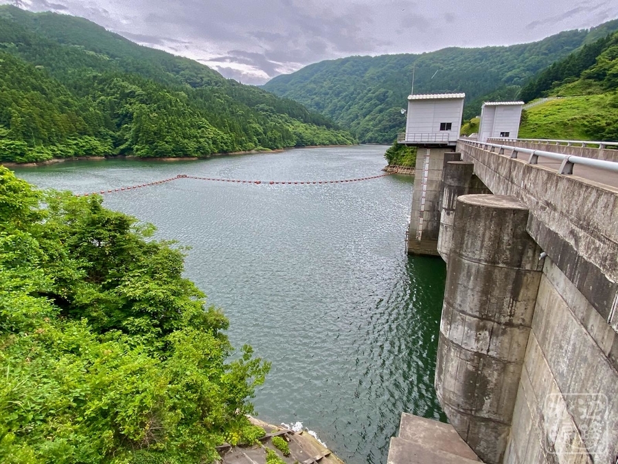 f:id:cippillo:20210628064824j:plain