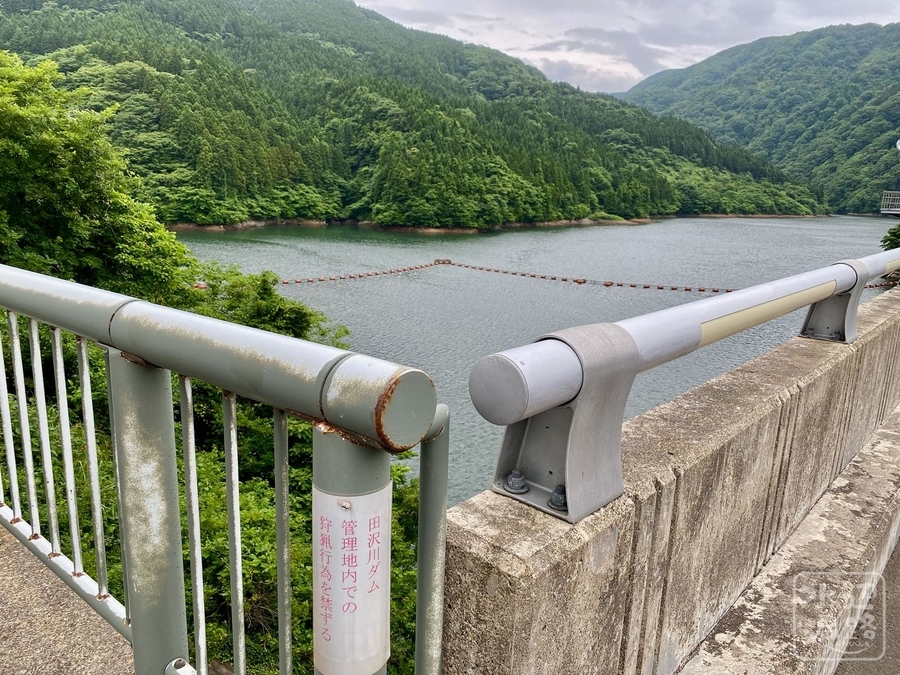 f:id:cippillo:20210628064857j:plain