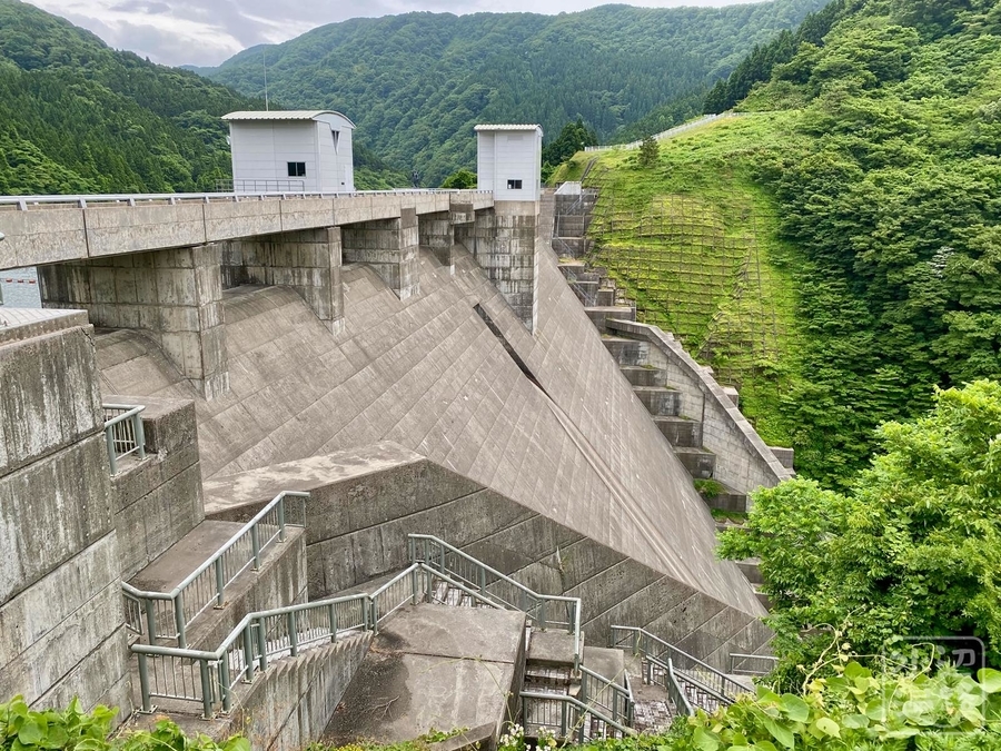 f:id:cippillo:20210628065017j:plain