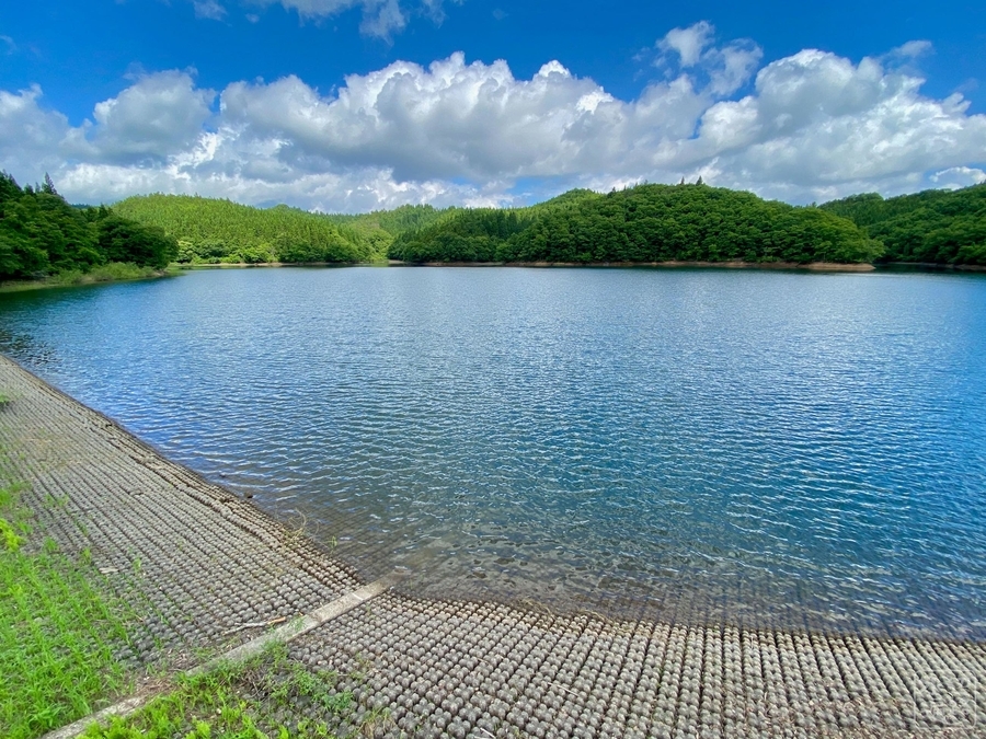 水道秋聖　「千野の池」 backend=imagemagick;version=1;