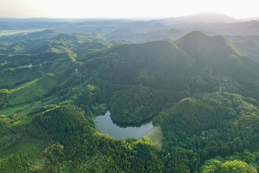 f:id:cippillo:20210630053408j:plain