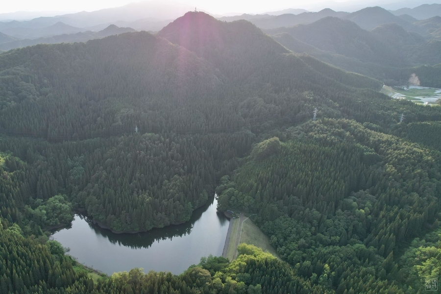 f:id:cippillo:20210630053419j:plain