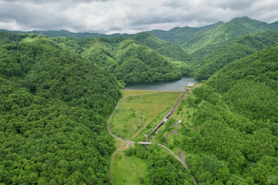 f:id:cippillo:20210708001053j:plain