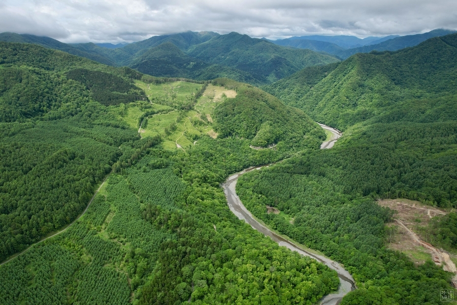 f:id:cippillo:20210715024255j:plain