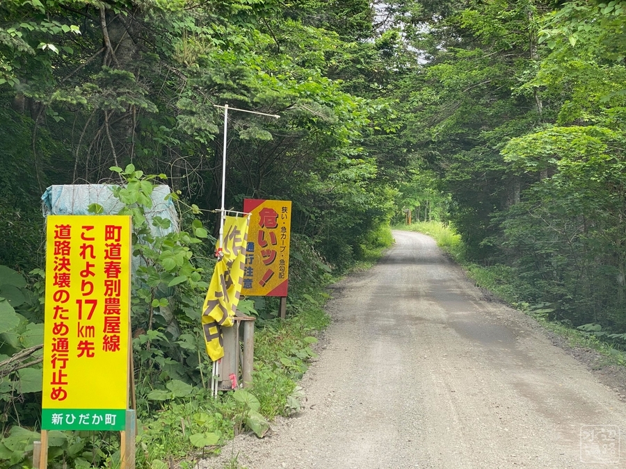 f:id:cippillo:20210715035445j:plain