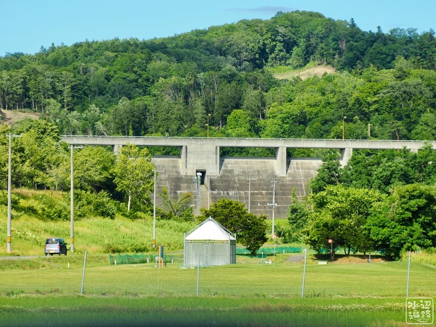 f:id:cippillo:20210731085501j:plain