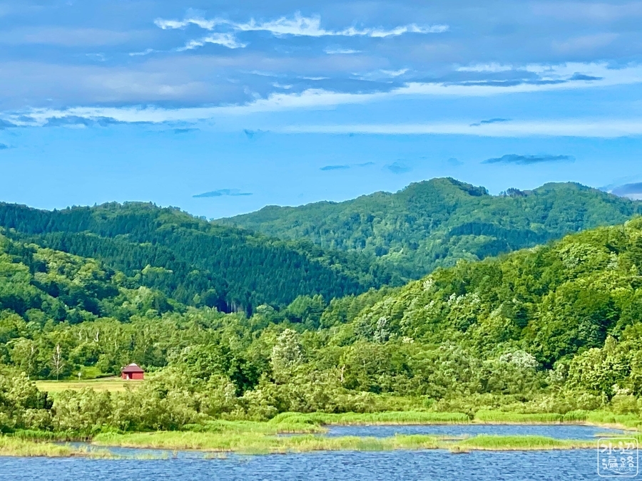 f:id:cippillo:20210731085510j:plain