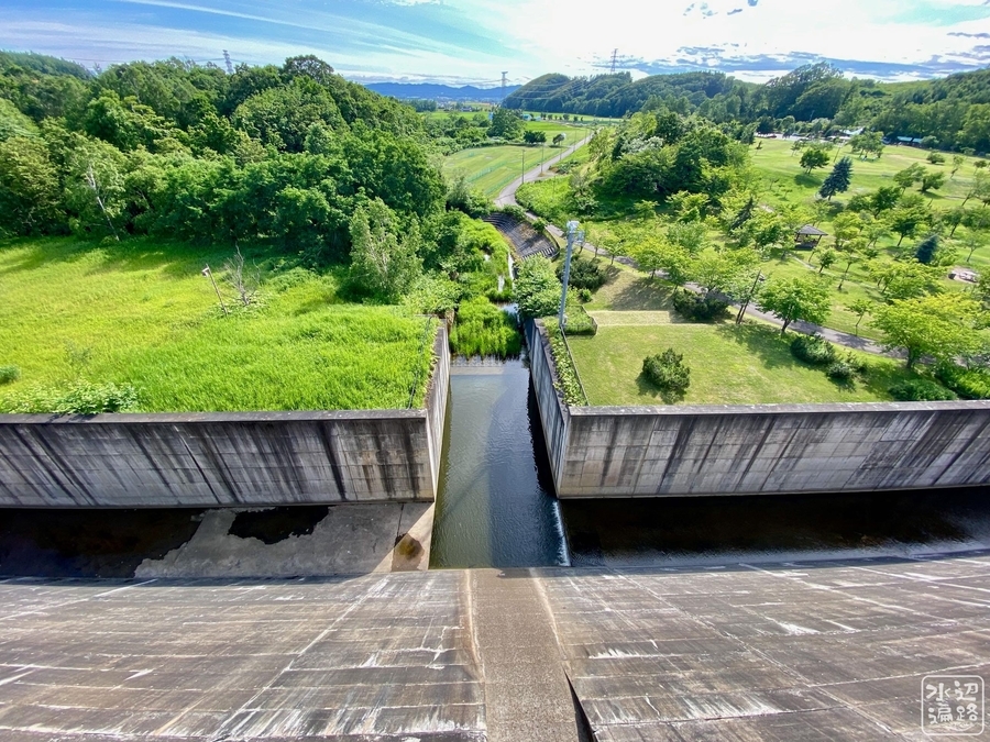 f:id:cippillo:20210731085538j:plain