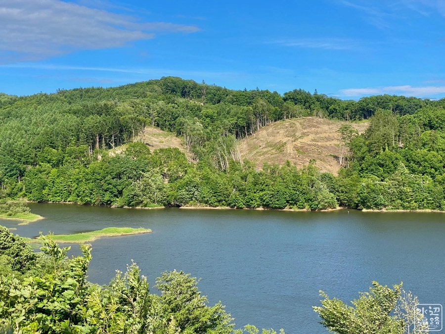 f:id:cippillo:20210731085622j:plain