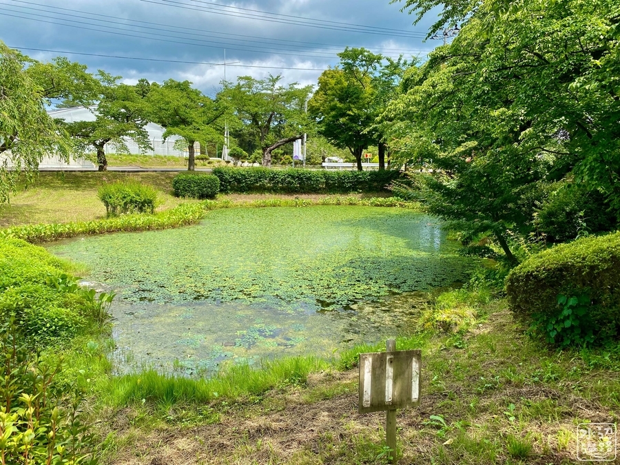 芦野公園の池（仮称）（青森県五所川原） - 水辺遍路