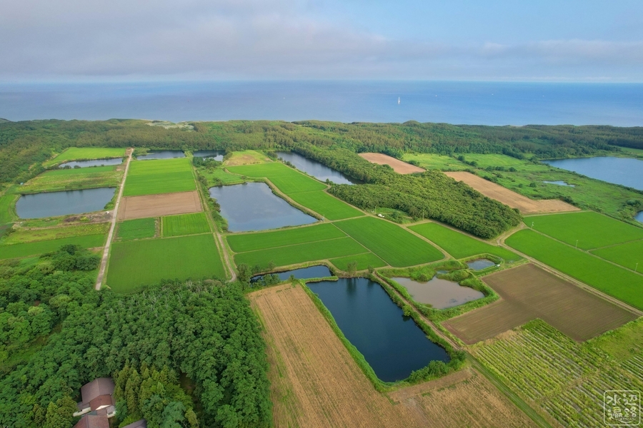 f:id:cippillo:20210803084119j:plain