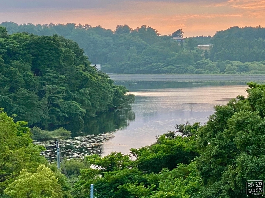 f:id:cippillo:20210804152635j:plain